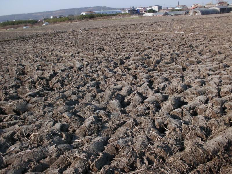 土壤墑情監(jiān)測系統(tǒng)為指揮抗旱救災(zāi)工作提供決策支持 土壤墑情監(jiān)測系統(tǒng)為指揮抗旱救災(zāi)工作提供決策支持