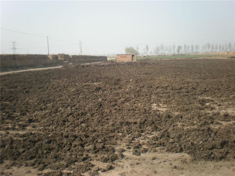 肥料養(yǎng)分檢測儀讓施肥更高效 肥料養(yǎng)分檢測儀讓施肥更高效