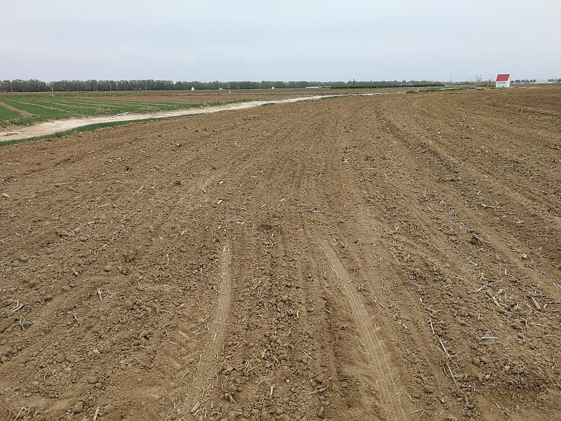 高智能土壤檢測儀讓土壤檢測更精準(zhǔn) 高智能土壤檢測儀讓土壤檢測更精準(zhǔn)