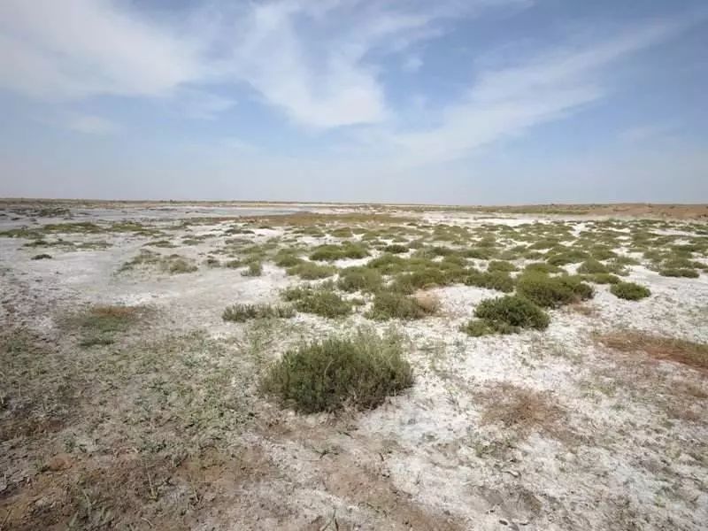 土壤中的鹽分含量對農(nóng)業(yè)種植有什么影響 土壤中的鹽分含量對農(nóng)業(yè)種植有什么影響
