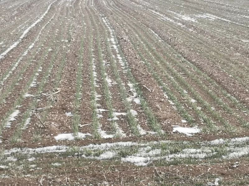 土壤墑情監(jiān)測系統(tǒng)性能穩(wěn)定、可靠性高