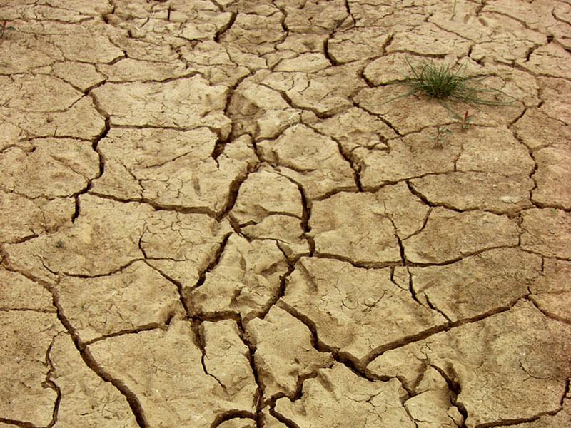 土壤墑情監(jiān)測(cè)系統(tǒng)為抗旱救災(zāi)提供決策支持 土壤墑情監(jiān)測(cè)系統(tǒng)為抗旱救災(zāi)提供決策支持