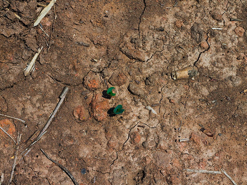 土壤氮磷鉀檢測(cè)儀為農(nóng)戶解決施肥問題 土壤氮磷鉀檢測(cè)儀為農(nóng)戶解決施肥問題