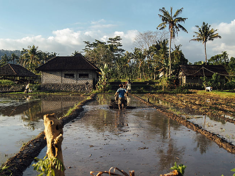 測(cè)定土壤的水分要使用哪款儀器 測(cè)定土壤的水分要使用哪款儀器