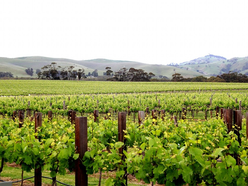 土壤肥料養(yǎng)分檢測儀 土壤肥料養(yǎng)分檢測儀