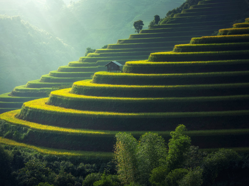 土壤板結(jié) 土壤板結(jié)