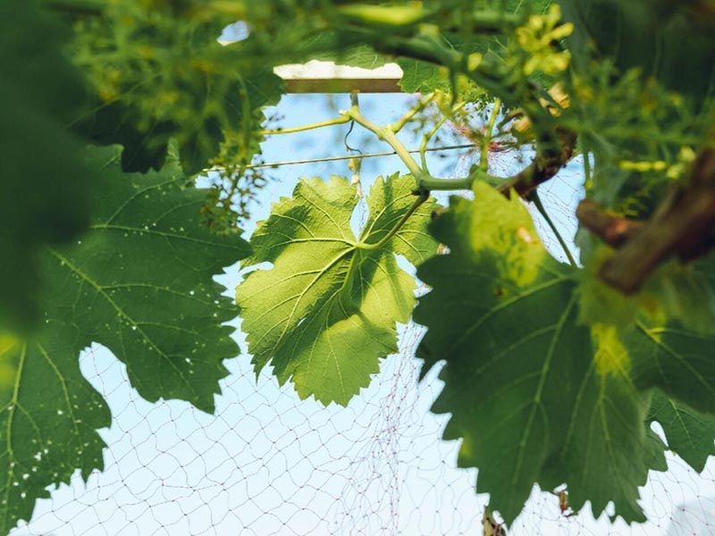土壤肥料養(yǎng)分速測(cè)儀特點(diǎn) 土壤肥料養(yǎng)分速測(cè)儀特點(diǎn)
