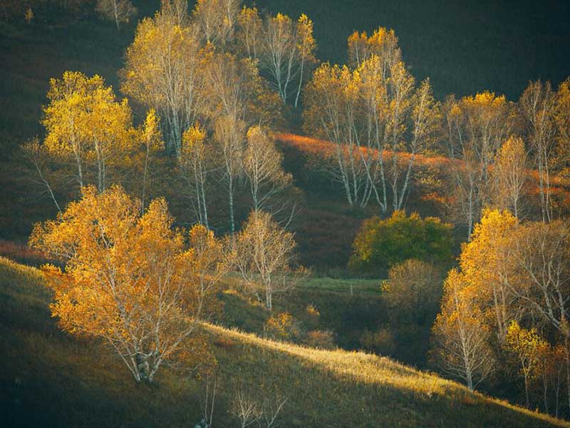 土壤PH速測儀測定原理 土壤PH速測儀測定原理