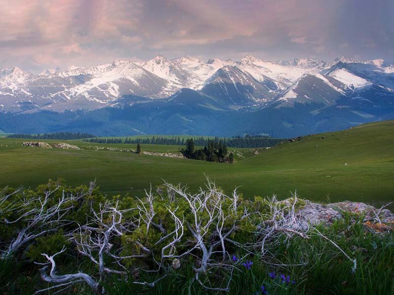 土壤肥料養(yǎng)分檢測(cè)儀在作物施肥中的作用 土壤肥料養(yǎng)分檢測(cè)儀在作物施肥中的作用