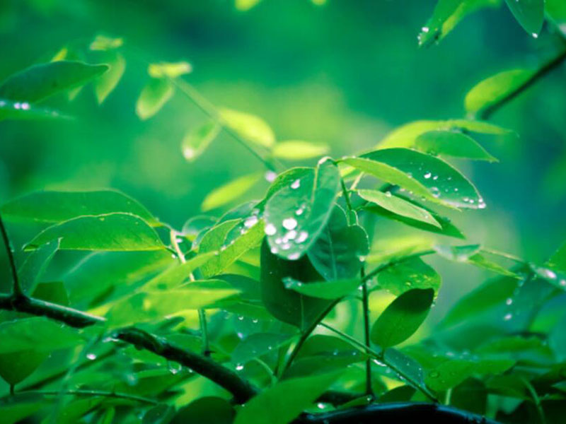 土壤重金屬檢測儀的使用規(guī)范 土壤重金屬檢測儀的使用規(guī)范