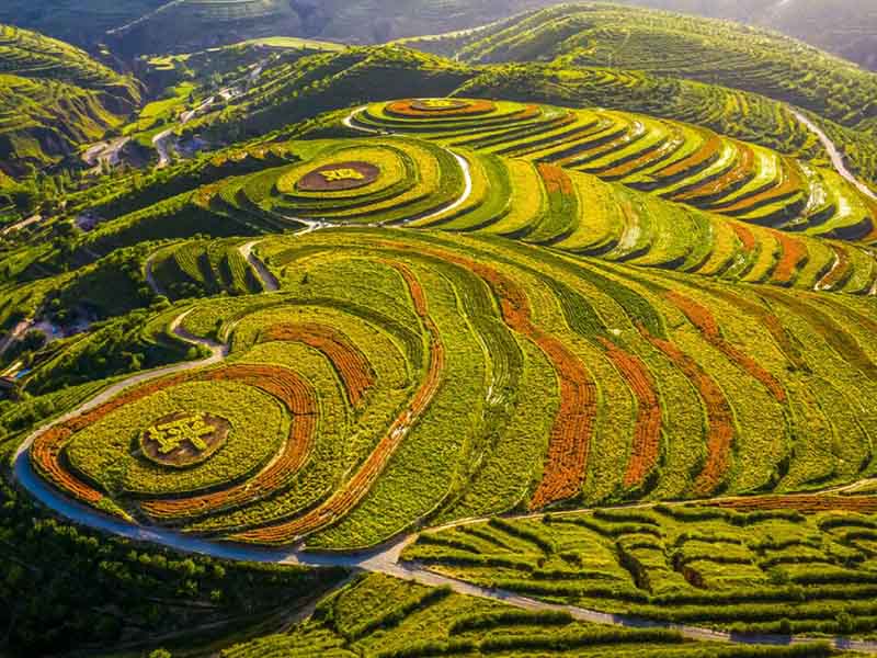 為什么要進(jìn)行測(cè)土配方施肥 為什么要進(jìn)行測(cè)土配方施肥