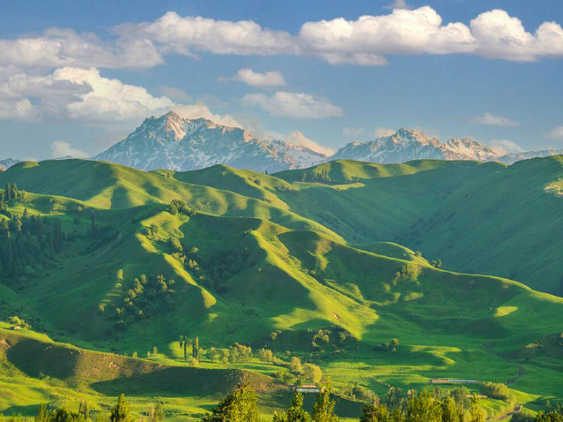 土壤養(yǎng)分檢測(cè)儀的作用 土壤養(yǎng)分檢測(cè)儀的作用