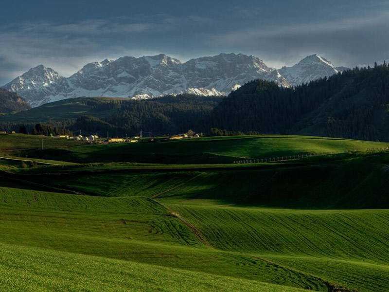 土壤pH檢測(cè)儀使用常見(jiàn)問(wèn)題