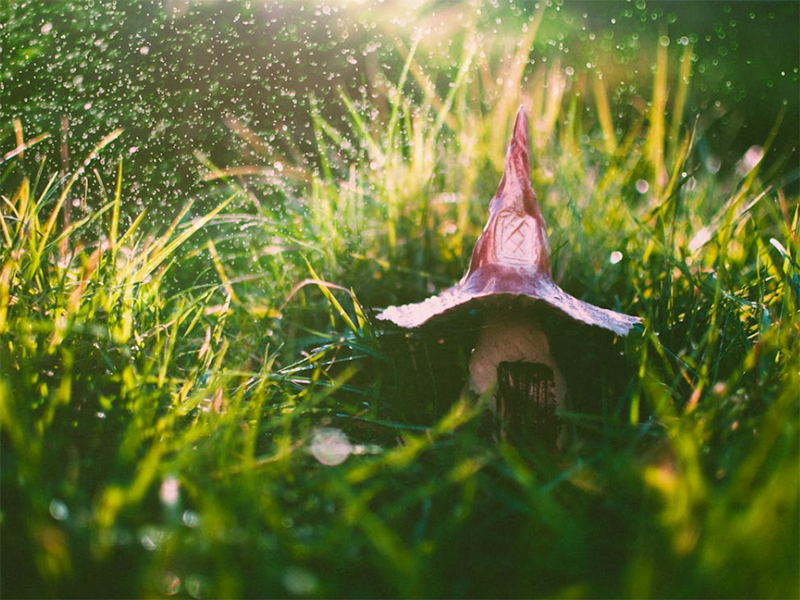 測土配方施肥儀技術(shù)特點(diǎn)