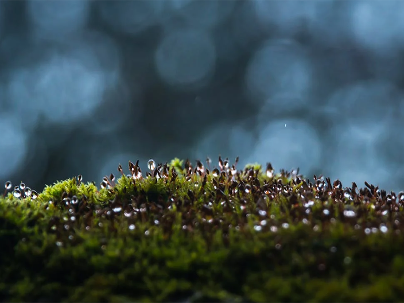 土壤電導(dǎo)率檢測的意義