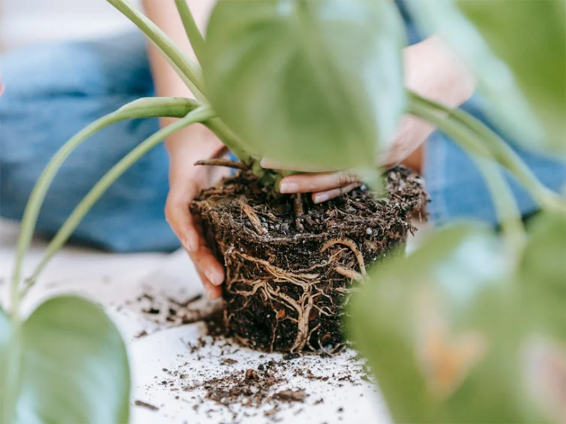 土壤五參數(shù)測(cè)定儀詳細(xì)參數(shù)