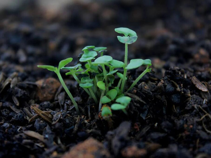 土壤氧化還原電位檢測(cè)常見(jiàn)問(wèn)題