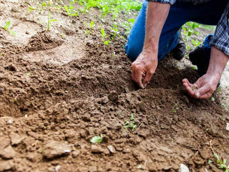測土配方施肥儀的用途