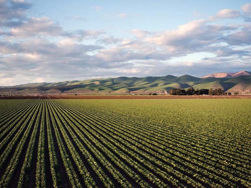 土壤檢測(cè)指標(biāo)及標(biāo)準(zhǔn)