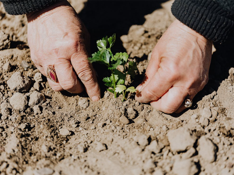 測土配方施肥儀使用常見問題