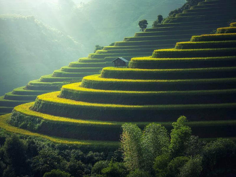 為什么土壤檢測采樣很關(guān)鍵