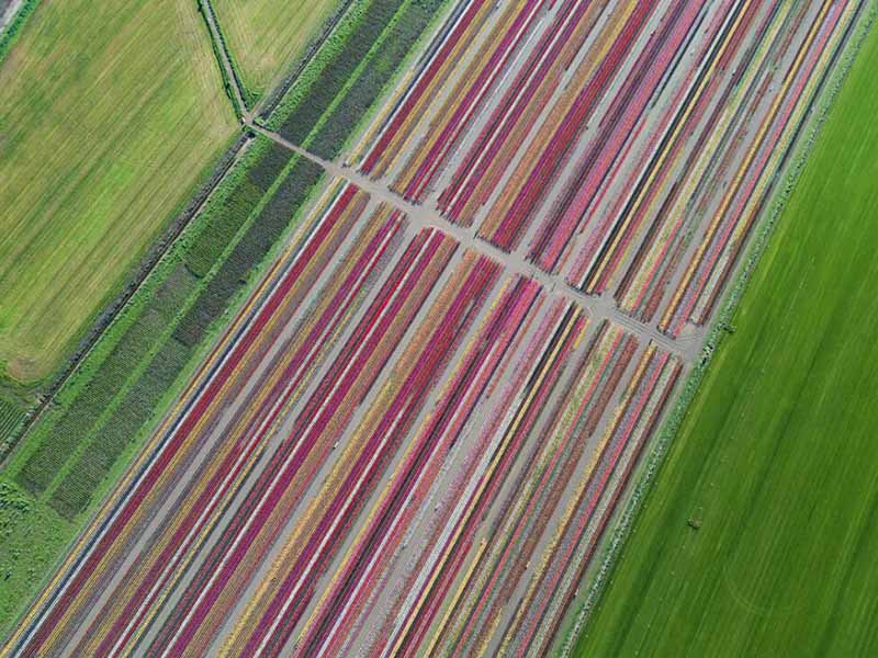 土壤氮磷鉀檢測儀準(zhǔn)確嗎
