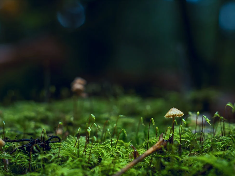 農(nóng)田土壤檢測頻率標準