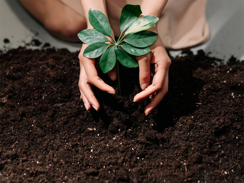 土壤肥料養(yǎng)分檢測儀市場售價