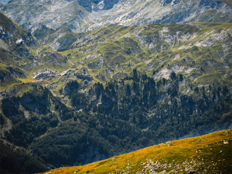 測土配方施肥儀好用嗎