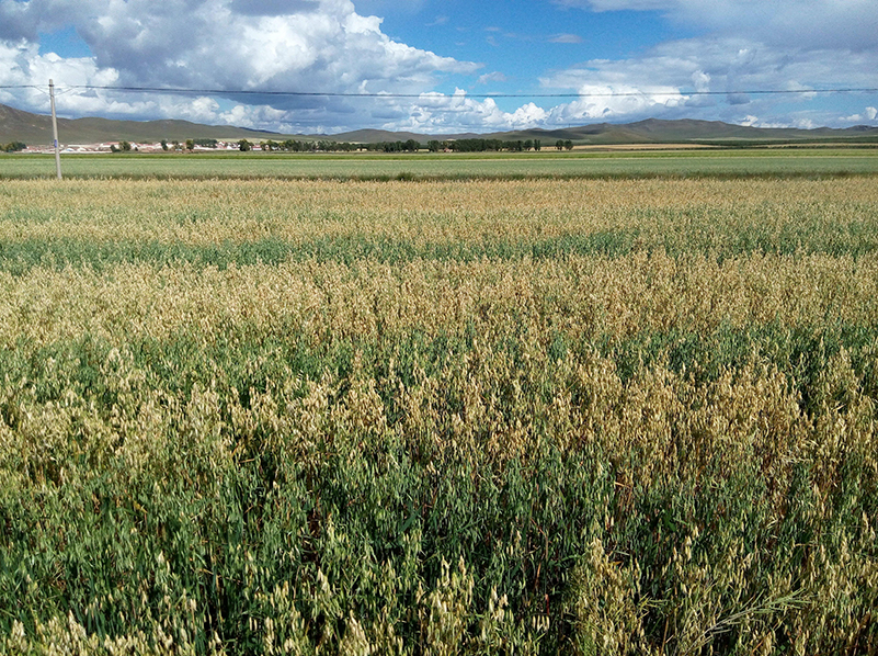 測(cè)土施肥儀