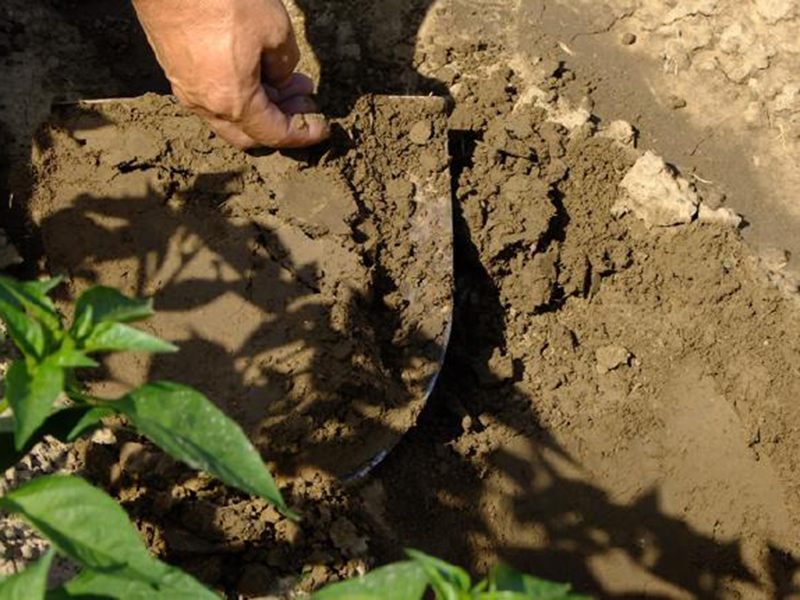 土壤養(yǎng)分測(cè)定儀 14.jpg