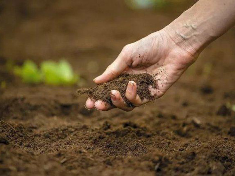 用土壤肥料養(yǎng)分快速測(cè)定儀測(cè)定土壤養(yǎng)分 14.jpg