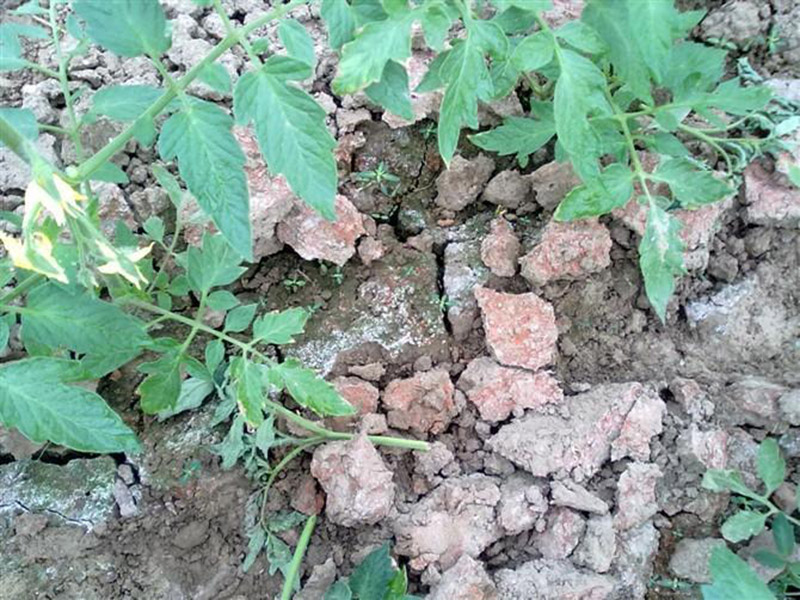 什么是土壤硬度測(cè)定儀 17.jpg