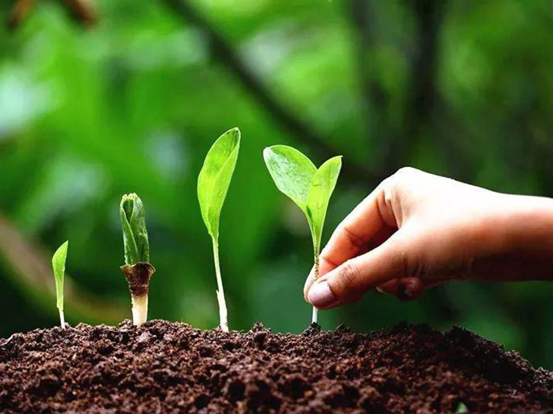 什么是土壤PH速測儀 12.jpg