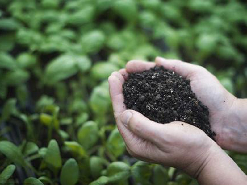 土壤養(yǎng)分速測(cè)儀幫助農(nóng)業(yè)生產(chǎn) 15.jpg