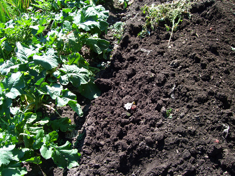 分析土壤中的養(yǎng)分含量，對(duì)農(nóng)業(yè)生產(chǎn)有怎樣的幫助