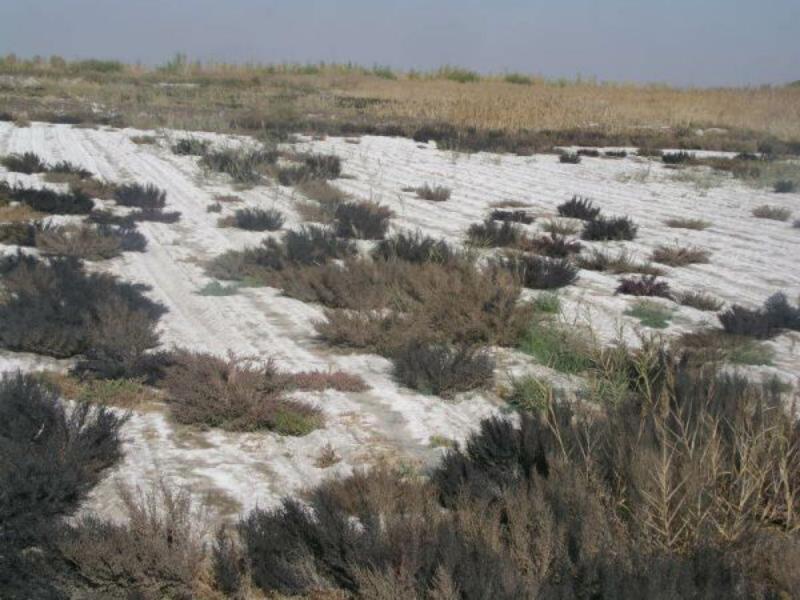 檢測土壤中的鹽分用哪款設(shè)備 檢測土壤中的鹽分用哪款設(shè)備