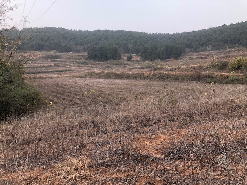 高智能土壤檢測儀，方便進(jìn)行數(shù)據(jù)管理